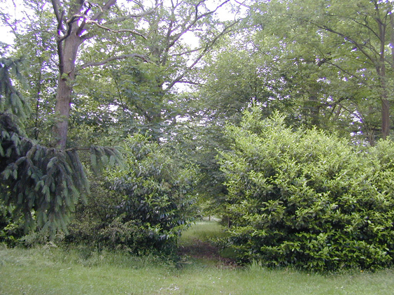 DSCN0911