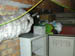 DSCN0874