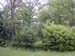 DSCN0911