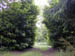 DSCN0912
