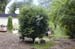 DSCN1205