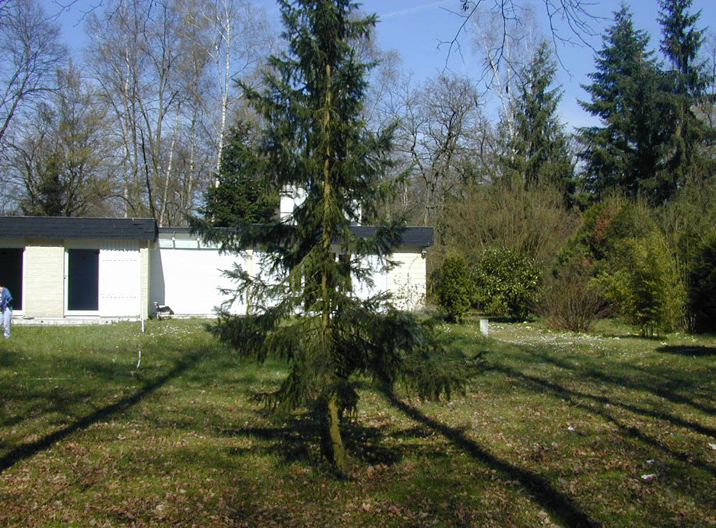 DSCN0374