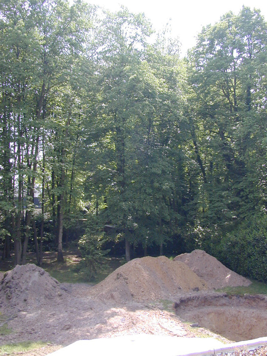 DSCN0530