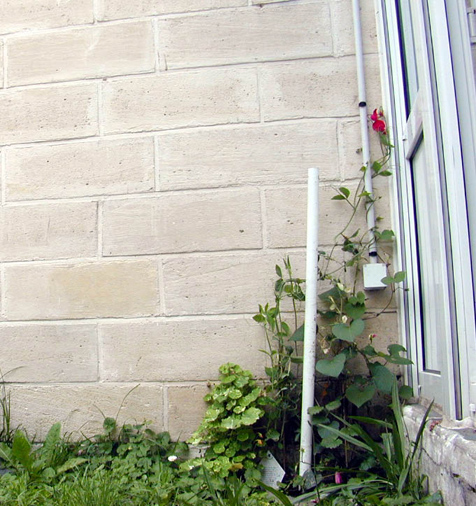 DSCN0937