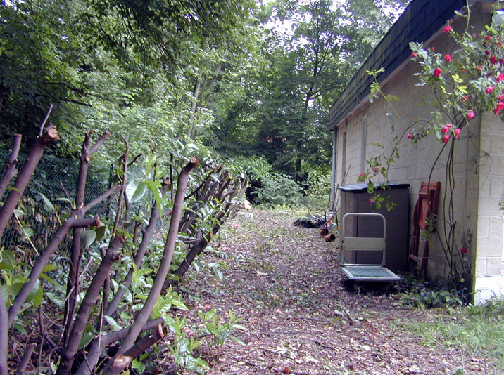 DSCN0938