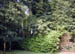 DSCN1054