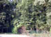 DSCN1055