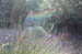 DSCN1114