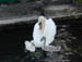 DSCN0986