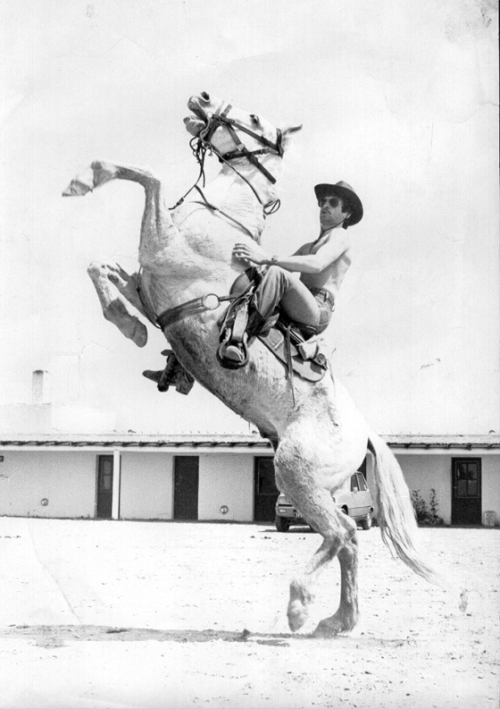 cheval cabre 