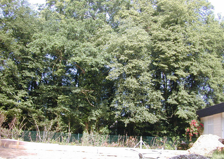 DSCN0996