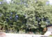 DSCN0996