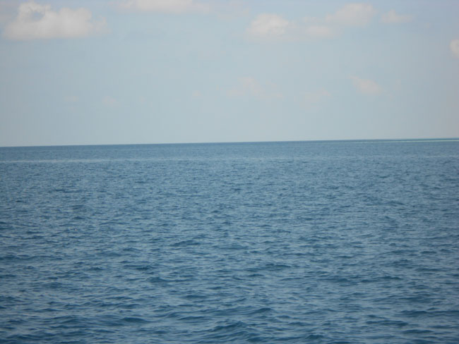 DSCN0713