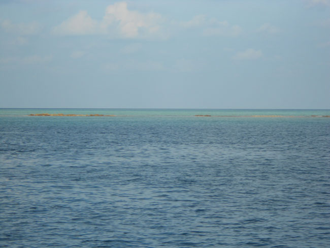 DSCN0729