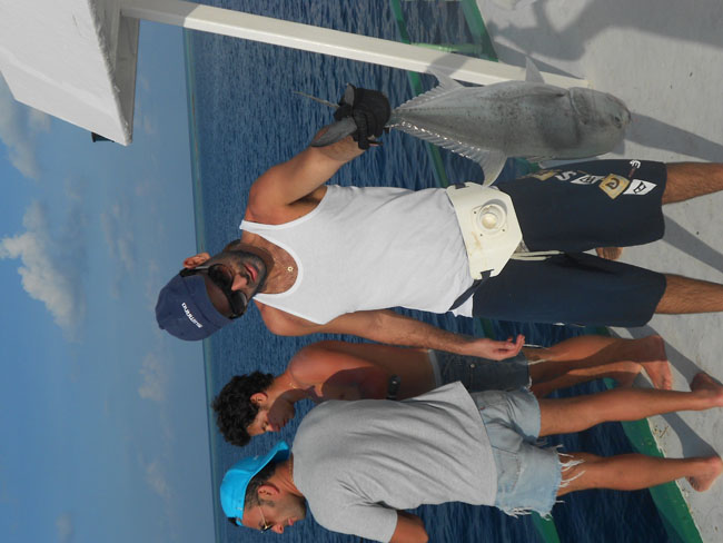 DSCN0736