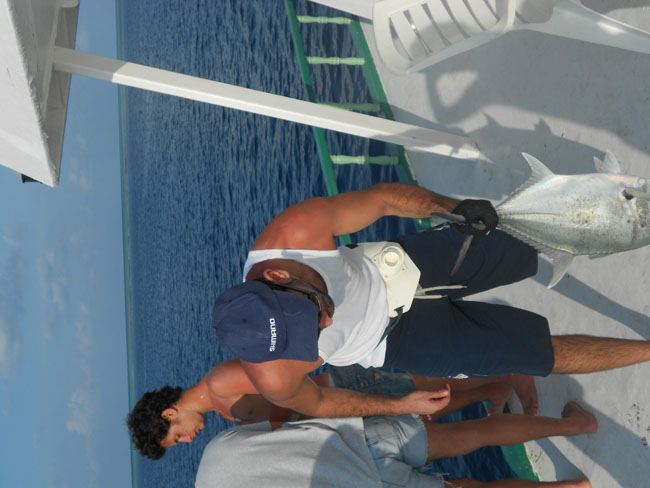 DSCN0737