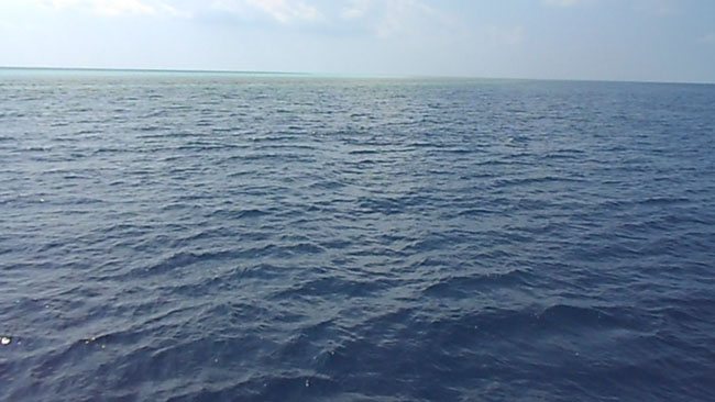 DSCN0774