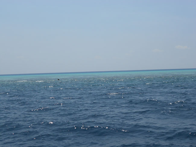 DSCN0787