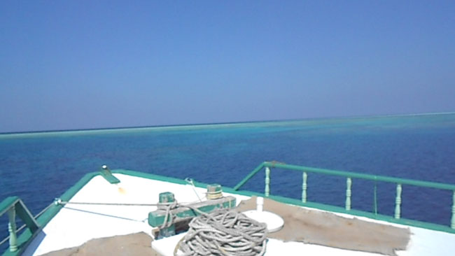 DSCN0795
