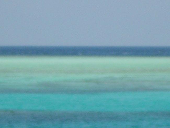 DSCN0796