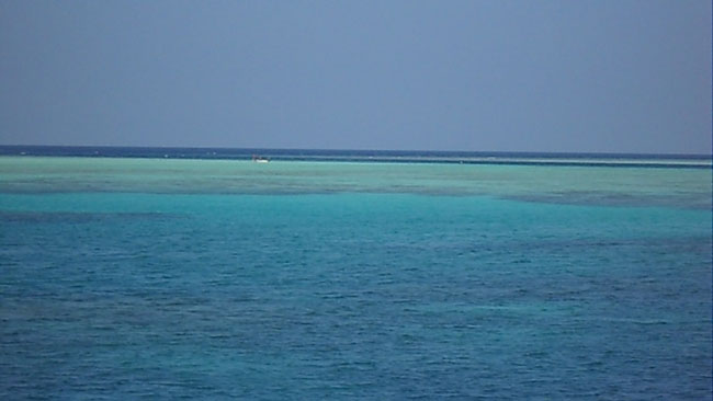 DSCN0797