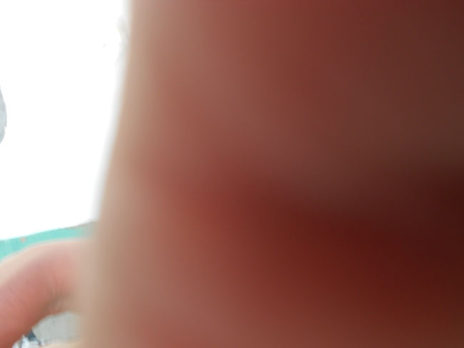 DSCN0801