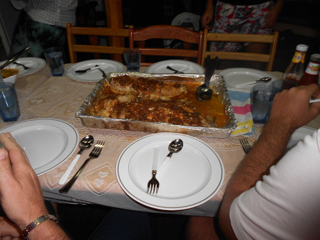 DSCN0813