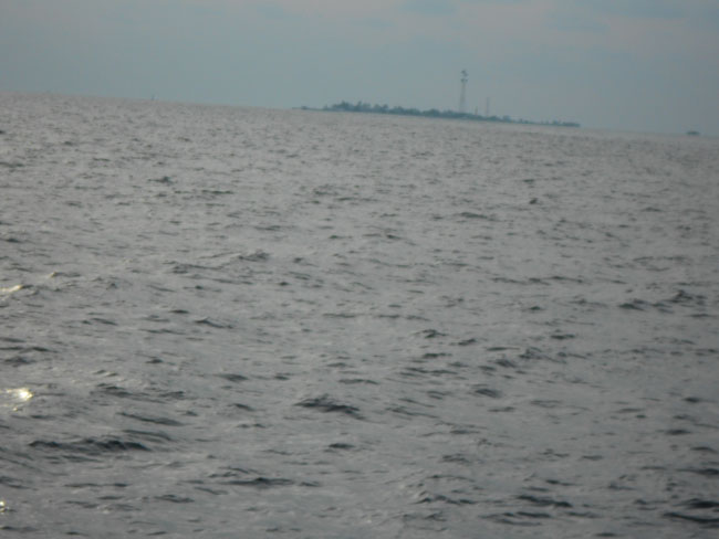 DSCN0848