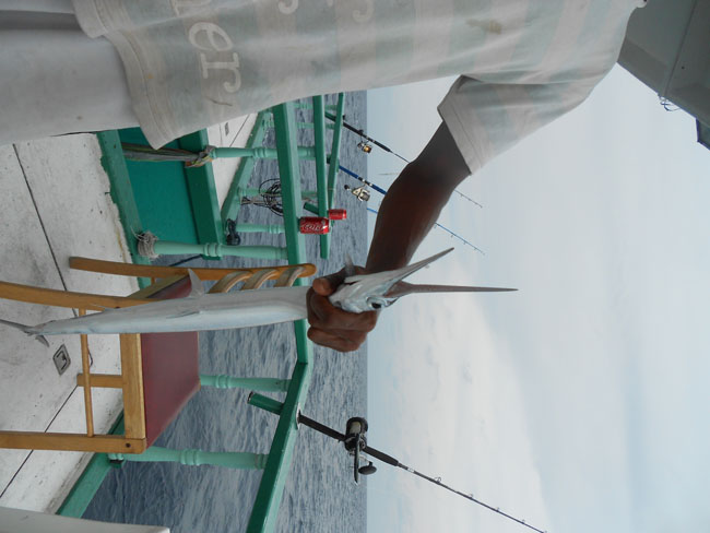DSCN0873