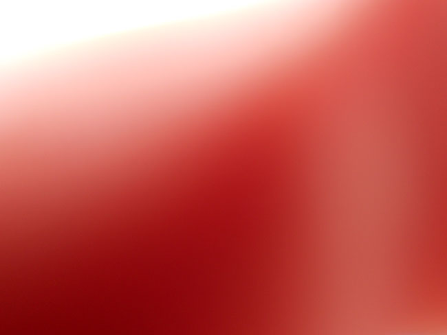DSCN0875