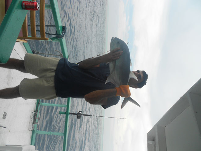 DSCN0884