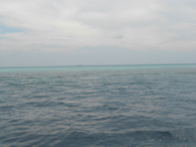DSCN0888