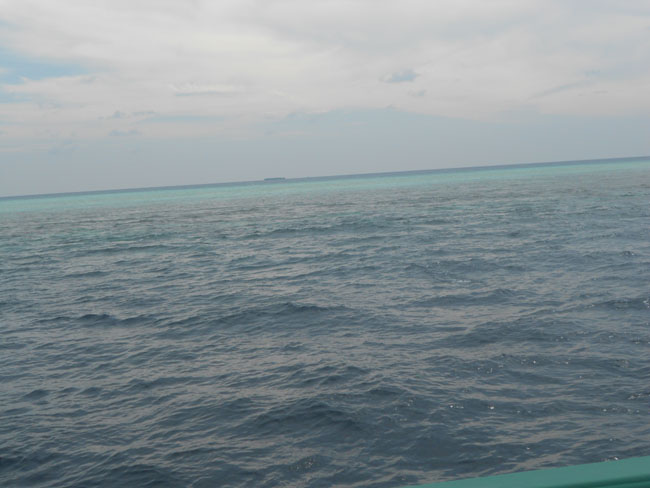 DSCN0889