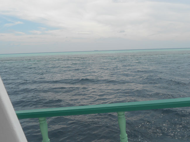 DSCN0890