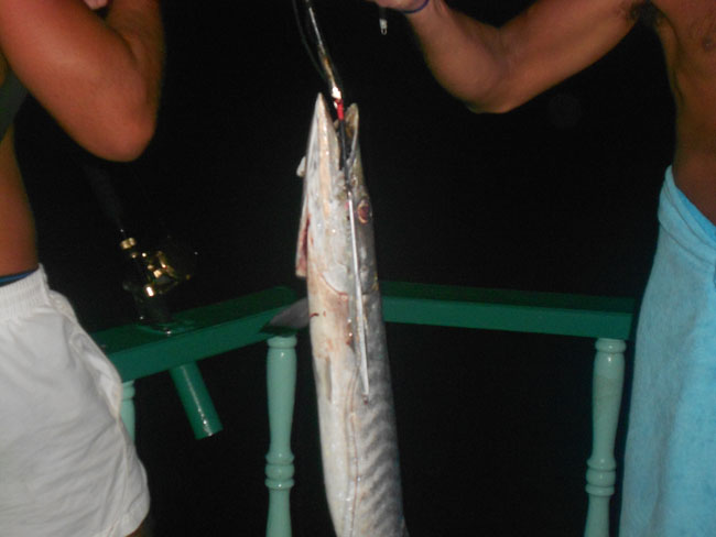 DSCN0897