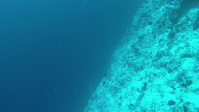 GOPR2224