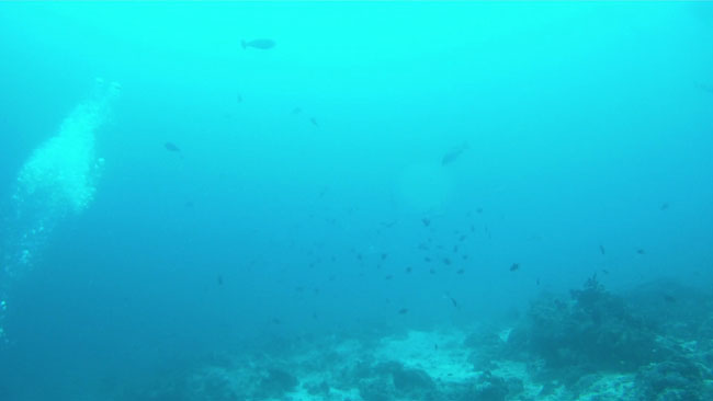 GOPR2230