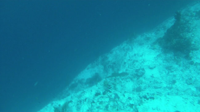 GOPR2231