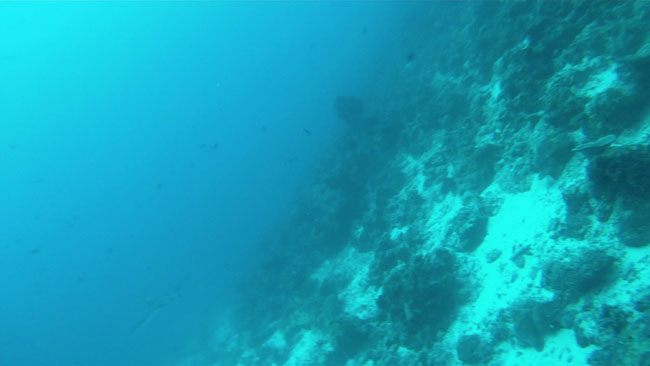 GOPR2233