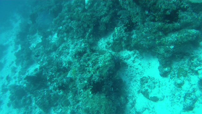 GOPR2234