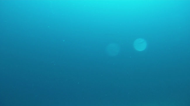 GOPR2235