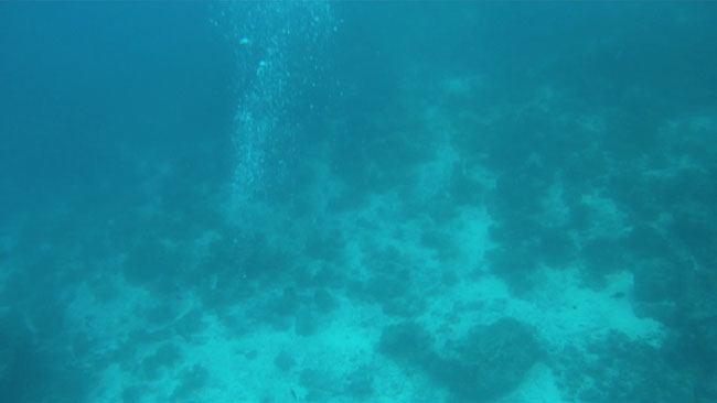 GOPR2237