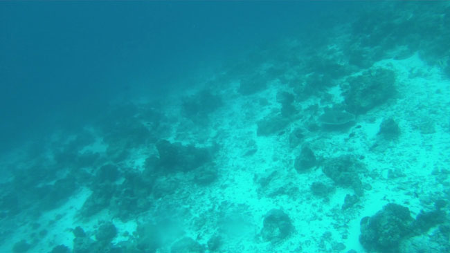 GOPR2239