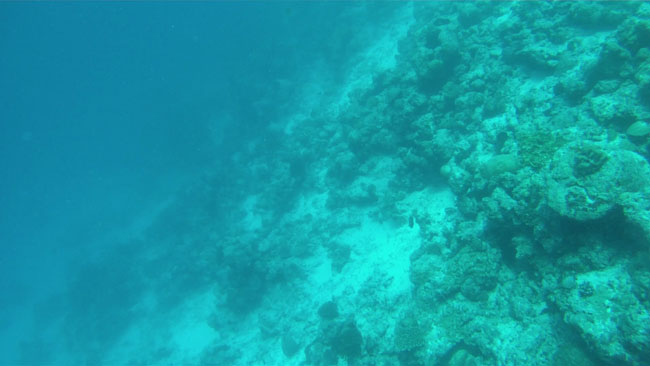 GOPR2242