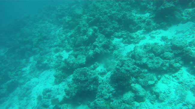 GOPR2243