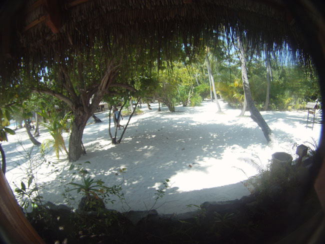 GOPR2283