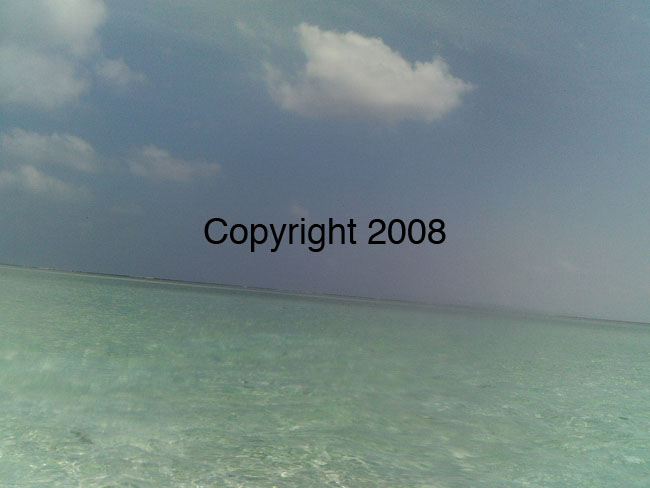 PICT0007