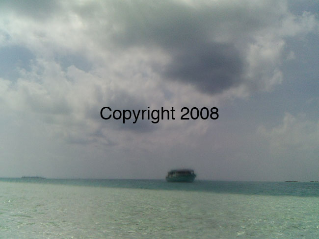 PICT0008