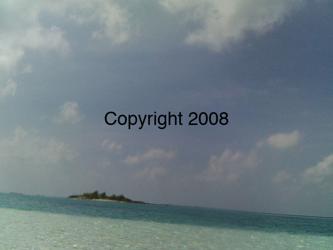PICT0010