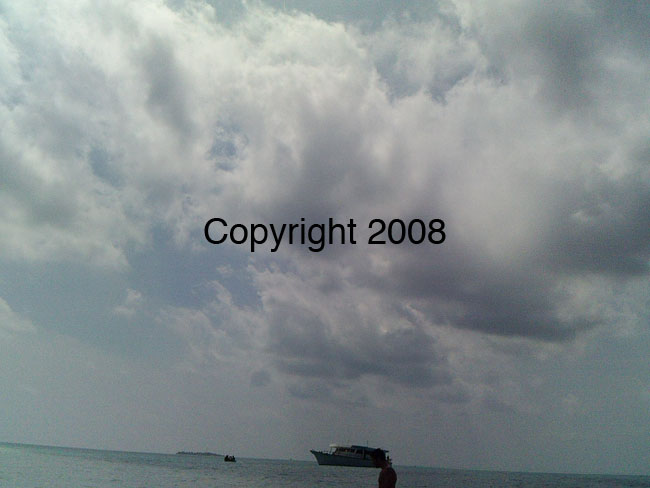 PICT0024